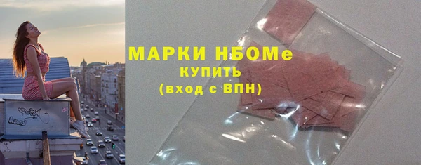 прущие грибы Дмитровск