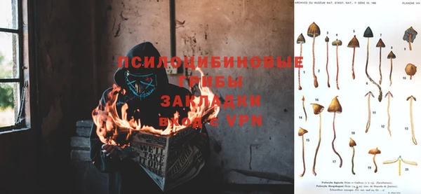 ALPHA PVP Володарск